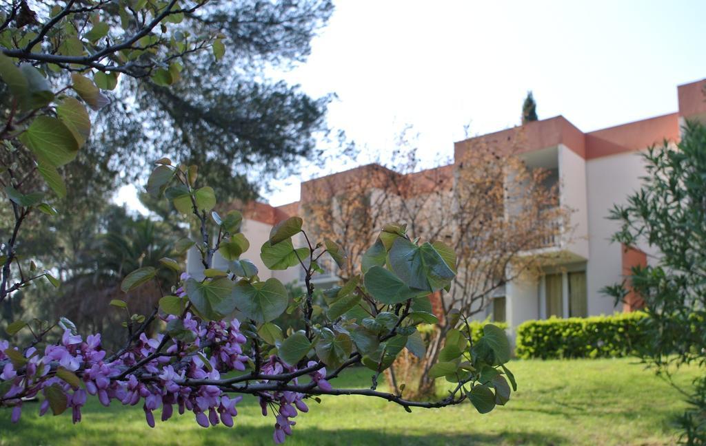 Le Domaine Des Oliviers Apartment Saint-Cyr-sur-Mer Exterior photo